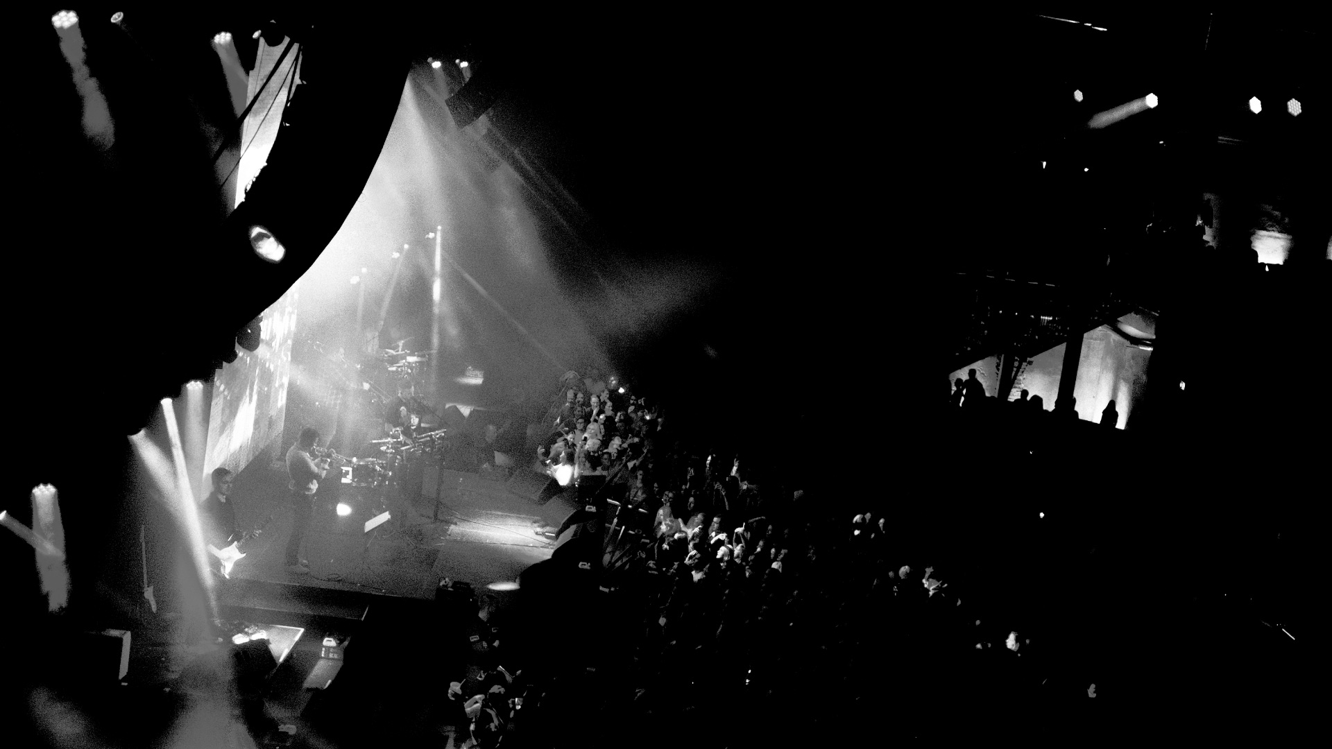 Tier Music Social media